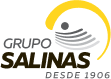 Grupo salinas